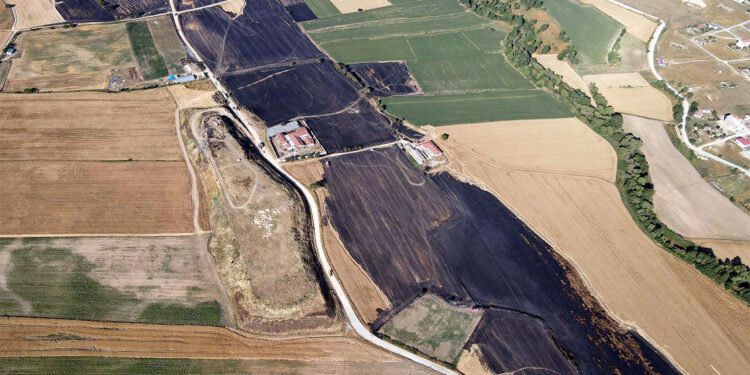 Tekirdağ'da 400 dönüm buğday ekili tarla zarar gördü