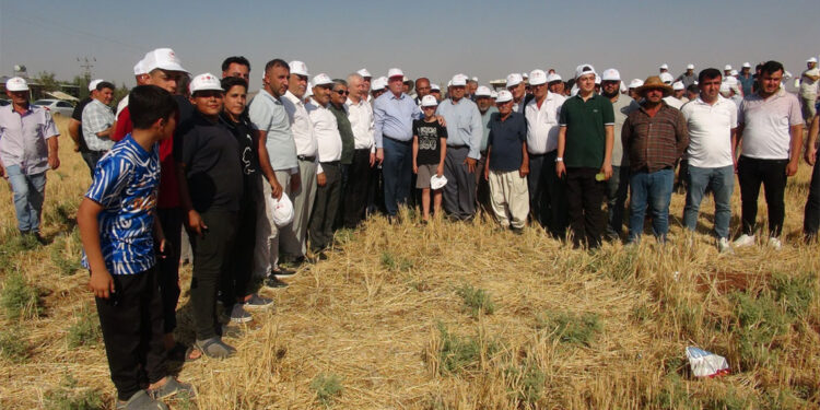 Kuraklık afeti bizi yormaya devam edecek