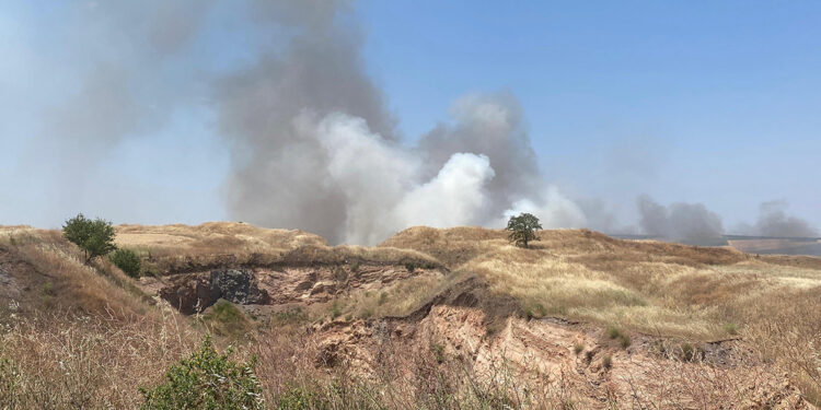 Tekirdağ'da 70 dönüm buğday tarlası yandı