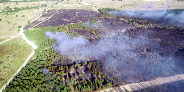 Tekirdağ'da yangın tedbiri: Ormanlara girişler 5 ay yasak