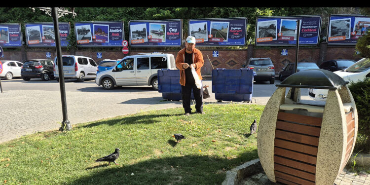Temizlik işçisi, 15 yıldır çöpten topladığı ekmek artıklarıyla kuşları besliyor