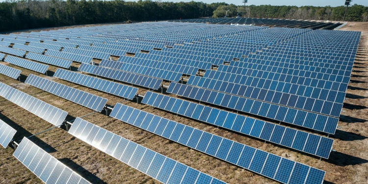 Türk Telekom çalışanlarından ‘Çevremiz için Değer’ projesi