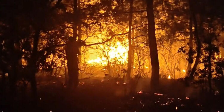 2 ayrı noktaya yıldırım düştü; orman yangını çıktı