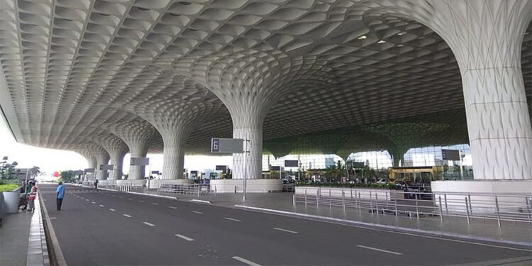 Yolcunun valizinde 48 zehirli yılan ve 5 kaplumbağa çıktı