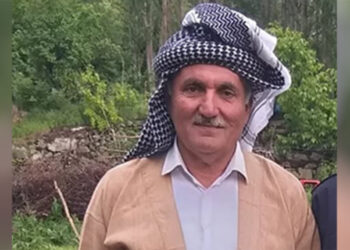 Yılanın ısırdığı eski muhtar öldü