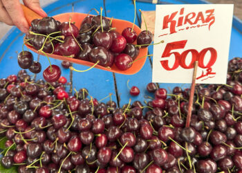 Kiraz fiyatları ülke gündemine oturdu