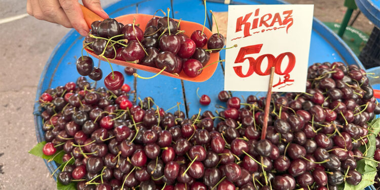 Kiraz fiyatları ülke gündemine oturdu