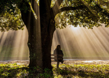 Ömür; Kıymetli bir sermayedir