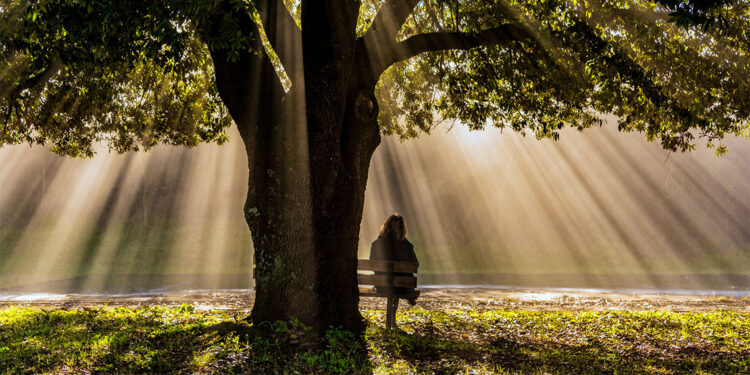 Ömür; Kıymetli bir sermayedir