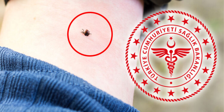 Sağlık Bakanlığı'ndan Kırım Kongo Kanamalı Ateşi uyarısı