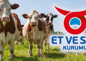 Kalan kurbanlıklar Et ve Süt Kurumu tarafından alınacak