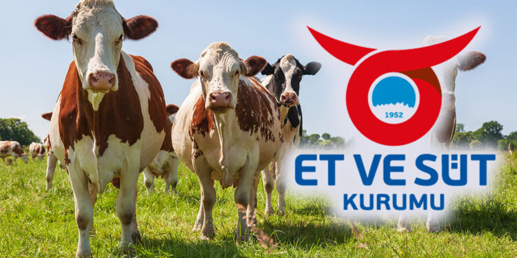Kalan kurbanlıklar Et ve Süt Kurumu tarafından alınacak