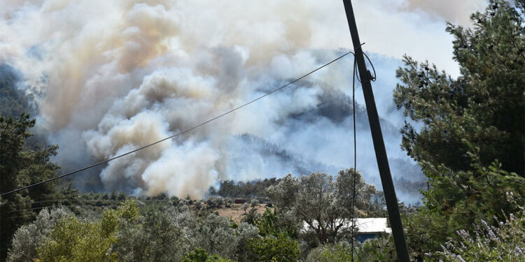 Bakan Yumaklı'dan Türkiye'deki yangınlara ilişkin açıklama