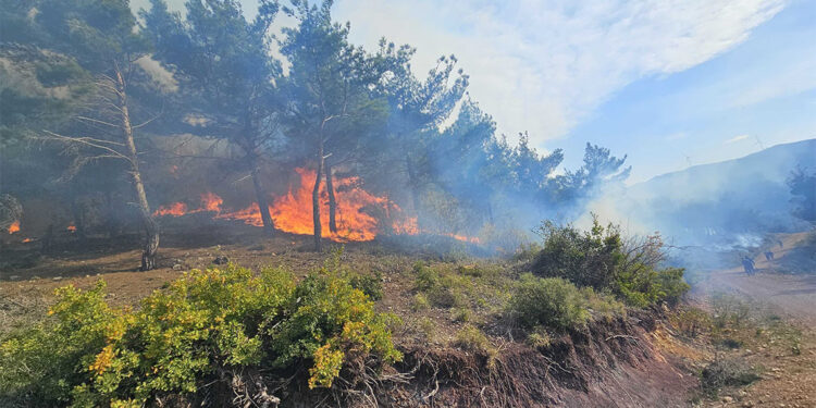 İstanbul Valiliği duyurdu; İstanbul'da ormanlara giriş yasaklandı
