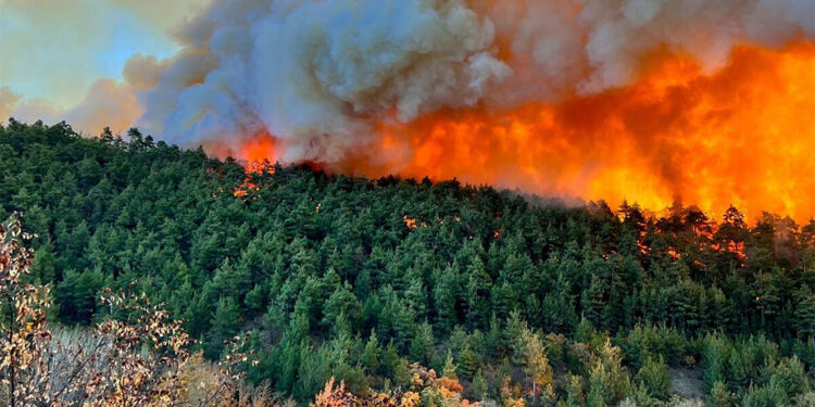 Yangınlarla ilgili 17 şüpheli gözaltına alındı