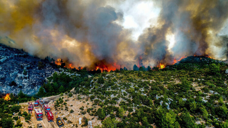 Türkiye'yi etkisi altına alan orman yangınları ile mücadele