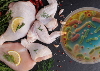 Gıdada Salmonella şoku!