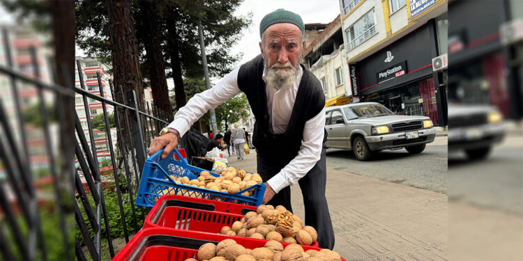 ‘Cevizci Dede’ çalışma azmiyle gençlere örnek oluyor
