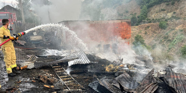 Bolu'da 2 ev ile 10 samanlık yandı; çok sayıda küçük ve büyükbaş öldü