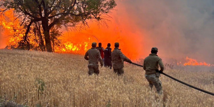 61 orman yangıyla ilgili 4 kişi tutuklandı