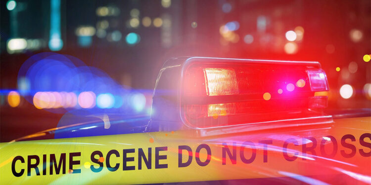 ABD'de araç kalabalığa daldı: 20’den fazla yaralı