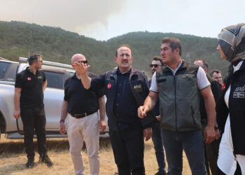 AFAD, yangın bölgelerindeki son durumu paylaştı