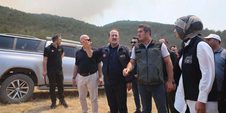 AFAD, yangın bölgelerindeki son durumu paylaştı