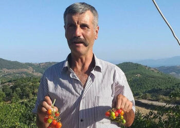 Ailesiyle gittiği piknikte kayboldu