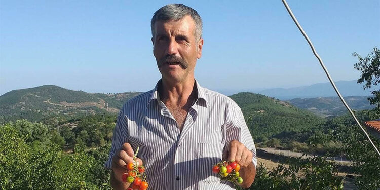 Ailesiyle gittiği piknikte kayboldu