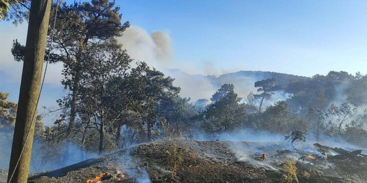 Akhisar'da dün çıkan orman yangını kontrol altına alındı