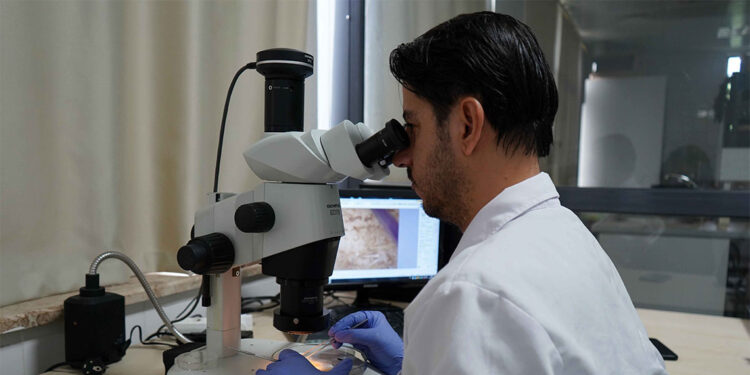 Mikroplastik tehlikesi gözle görülmüyor, hayatı tehdit ediyor 