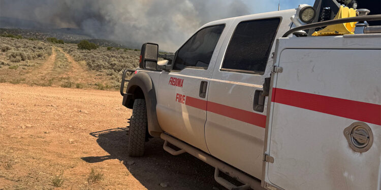 Arizona'daki yangın bir günde yaklaşık 20 kat büyüdü