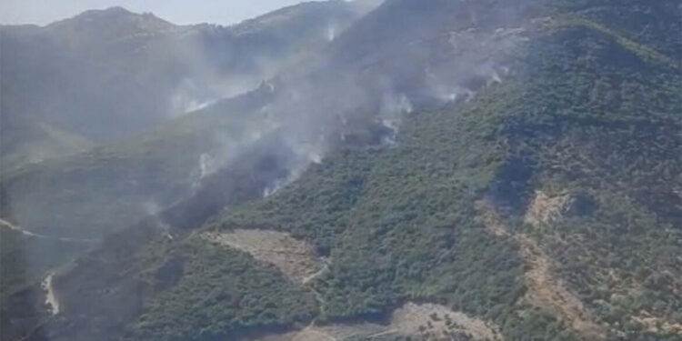 Aydın'ın Sultanhisar ilçesinde çıkan orman yangını devam ediyor