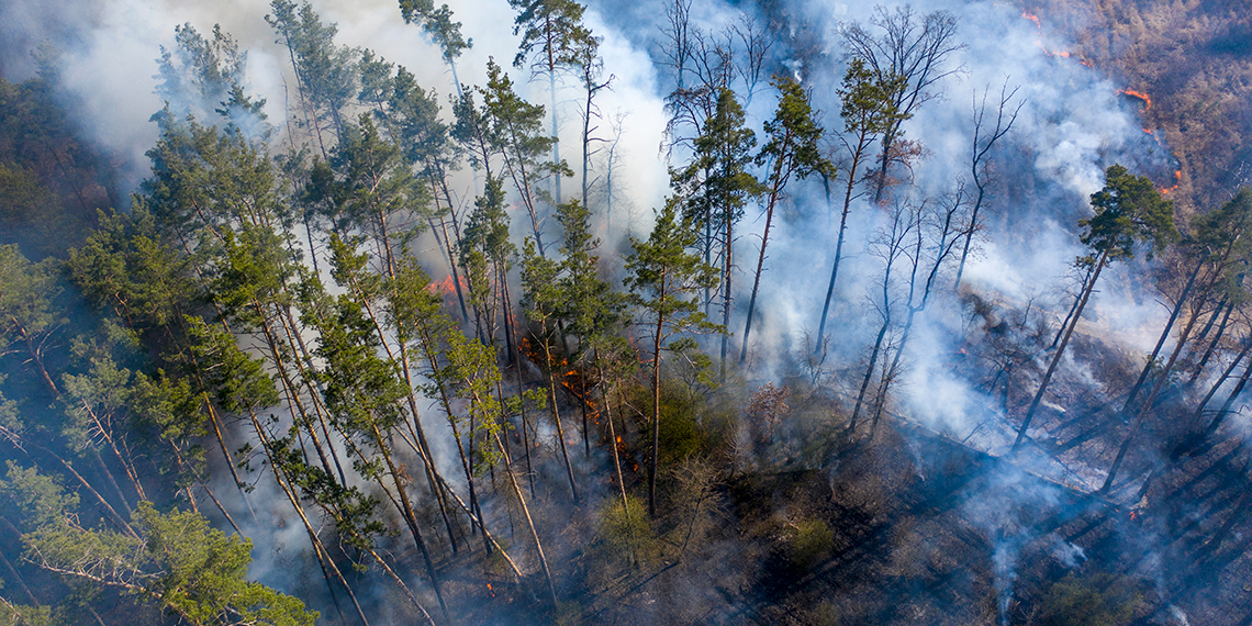 Uzun zamandır dile getirilen “Yangın çıkma riski var” ifadesi, artık yerini daha net bir cümleye bıraktı: “Yangın her an, her yerde olabilir.” Unutmayalım; ağaç dikmek yetmez, asıl olan onu korumak ve yaşatmaktır.