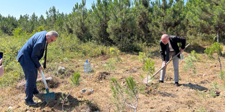 Altınbaş Üniversitesi'nden orman şehitleri için 10 fidan