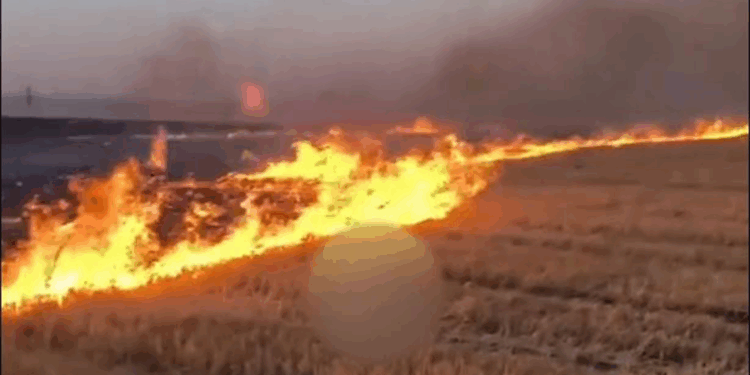 Anız yakıp görüntüleri paylaşan 15 yaşındaki şüpheliye gözaltı