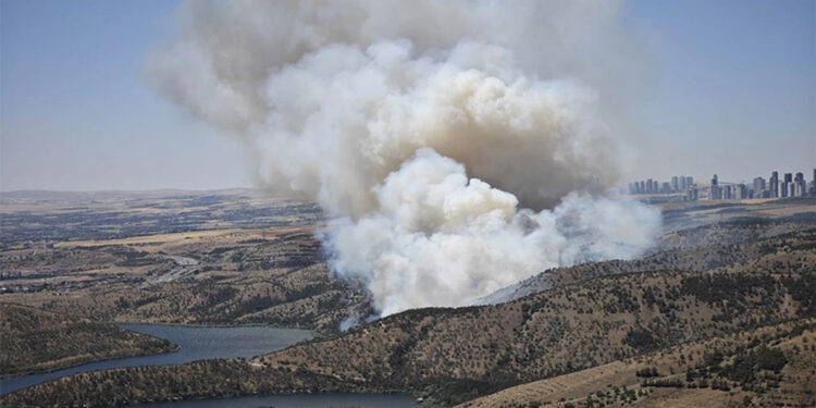 Ankara'da Eymir Gölü çevresinde orman yangını