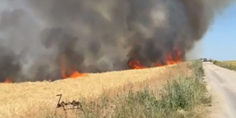 Ankara'da buğday tarlasında yangın; 40 dönüm ekili alan zarar gördü