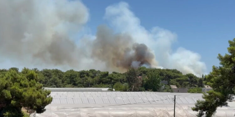 Antalya'da aynı noktada ikinci kez orman yangını çıktı