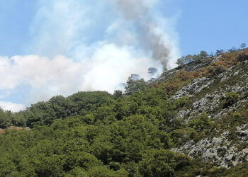 Antalya'da bir orman yangını daha!