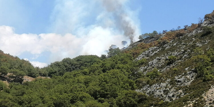 Antalya'da bir orman yangını daha!