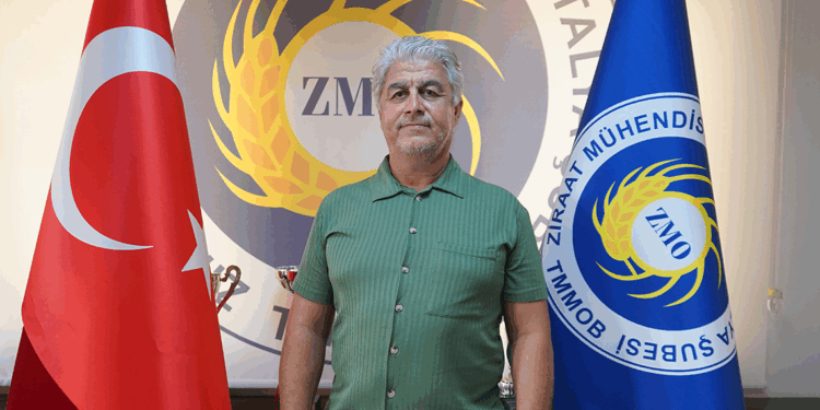 Antalya'da karpuz üreticisi krizde; ürünler tarlada kaldı Antalya'da karpuz üreticisi krizde; ürünler tarlada kaldı
