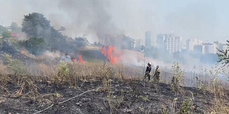 Avcılar'da otluk alanda çıkan yangın söndürüldü