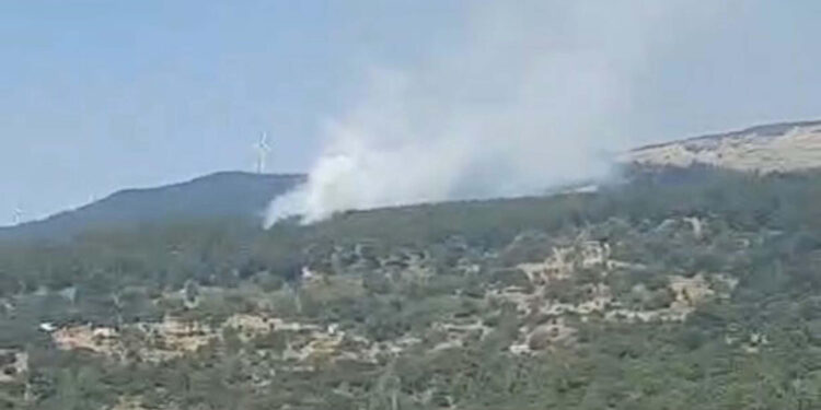 Aydın'ın Çine ilçesinde orman yangını
