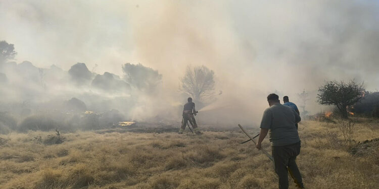 Ayvalık'ta aynı zamanda çıkan 4 yangın büyümeden söndürüldü