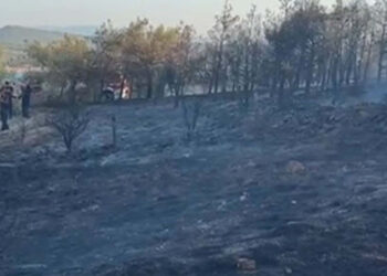 Balıkesir'deki orman yangını 1 saatte kontrol altına alındı