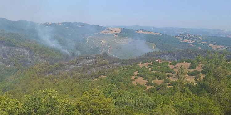 Balıkesir'deki orman yangını 2'inci gününde