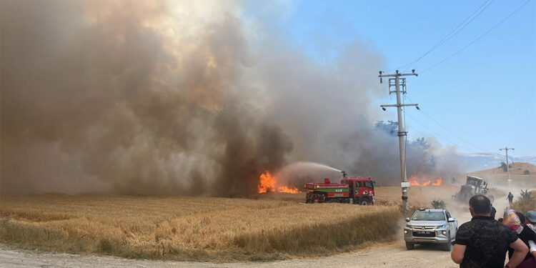 Bolu'da tarım arazisinde çıkan yangın ormana sıçradı
