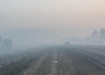 Orhaneli'de çevreyi dumanlar kapladı; Orman kahramanları yorgun düştü