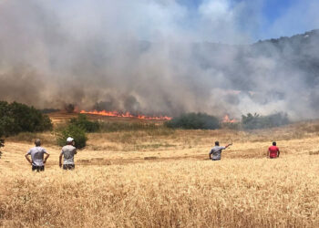 Bursa'da anız yangını ormana sıçradı